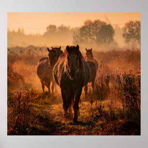 Wild Horses: Intense Gaze Encounter Poster