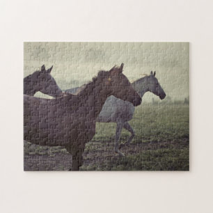 Wild horses jigsaw puzzle