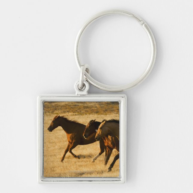 Wild horses keychain (Front)