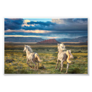 WILD HORSES “Live to Run” Photo Print