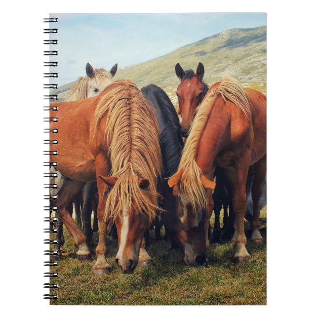 Wild Horses Livno Nature Scene Notebook (Front)