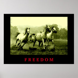 Wild Horses Motivational Freedom Artwork Poster