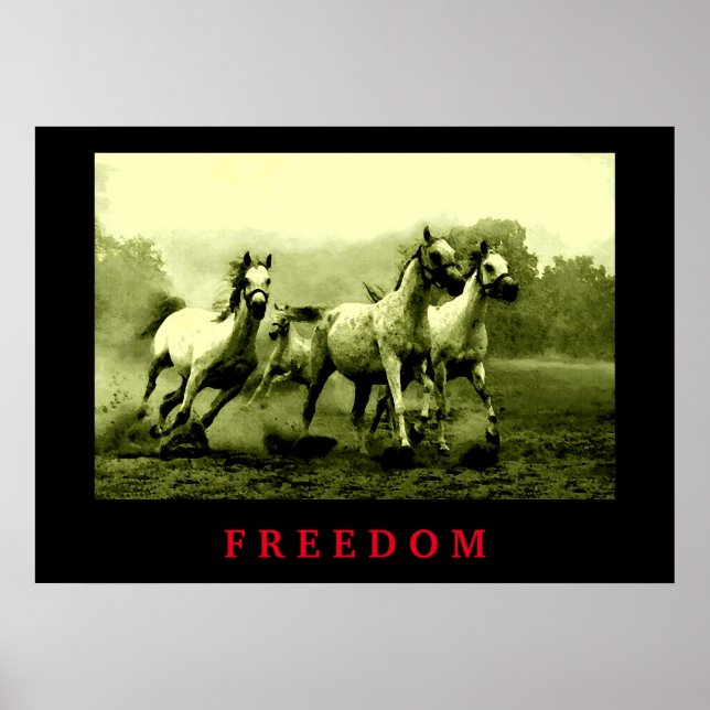 Wild Horses Motivational Freedom Artwork Poster (Front)