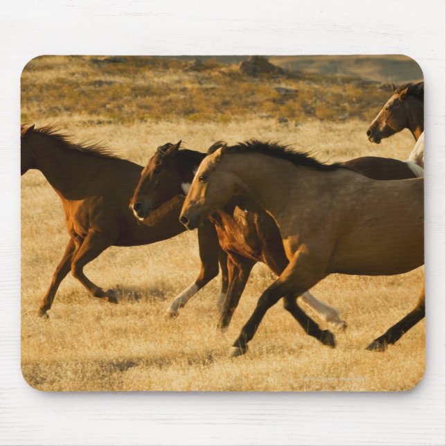 Wild horses mouse pad (Front)