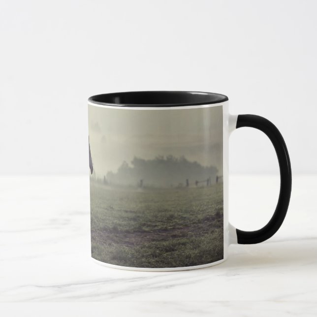Wild horses mug (Right)