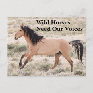 Wild Horses Need Our Voices Postcard