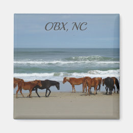 Wild Horses OBX NC Magnet