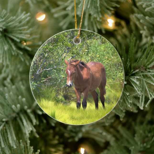 Wild Horses of Assateague Ceramic Ornament (Tree)