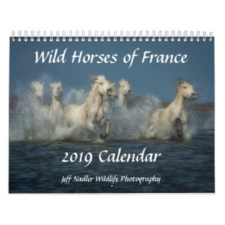 Wild Horses of France - 2019 Wall Calendar