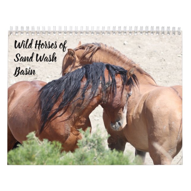 Wild Horses of Sand Wash Basin Calendar (Cover)