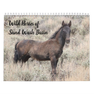 Wild Horses of Sand Wash Basin Calendar