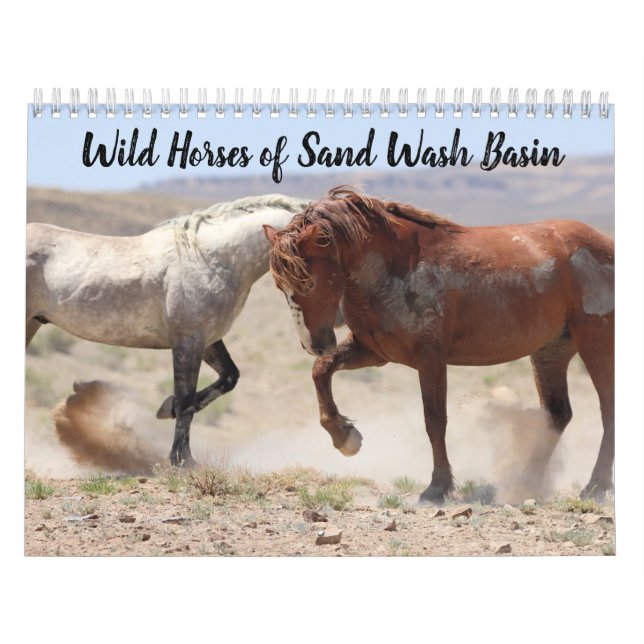Wild Horses of Sand Wash Basin Calendar (Cover)