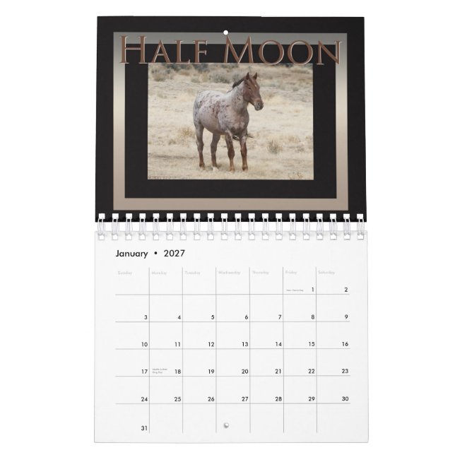 Wild Horses of Sand Wash Basin,  Colorado Calendar (Jan 2027)