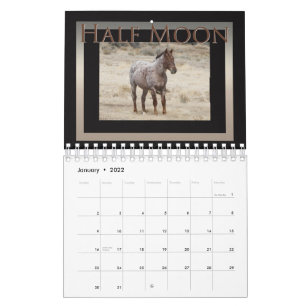 Wild Horses of Sand Wash Basin, Colorado Calendar