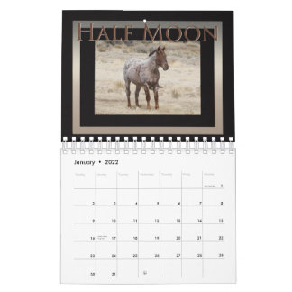 Wild Horses of Sand Wash Basin,  Colorado Calendar