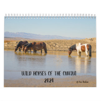 Wild Horses of the Onaqui - 2024 Calendar