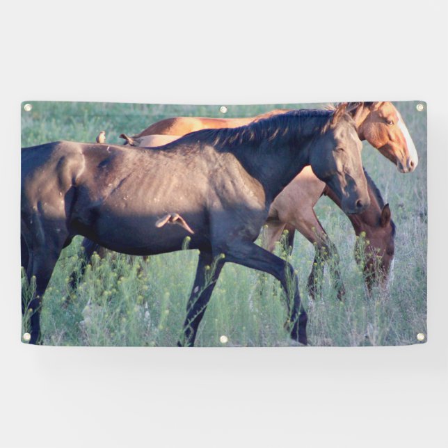 WILD HORSES OF UTAH Banner WITH GROMMETS (Horizontal)
