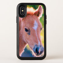 WILD HORSES OF UTAH FOAL IPHONE X