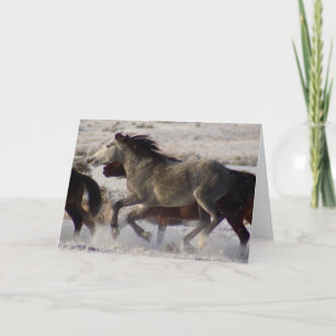 WILD HORSES OF UTAH ONAQUI DESERT CHRISTMAS Card