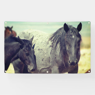 WILD HORSES OF UTAH ONAQUI GREY BANNER