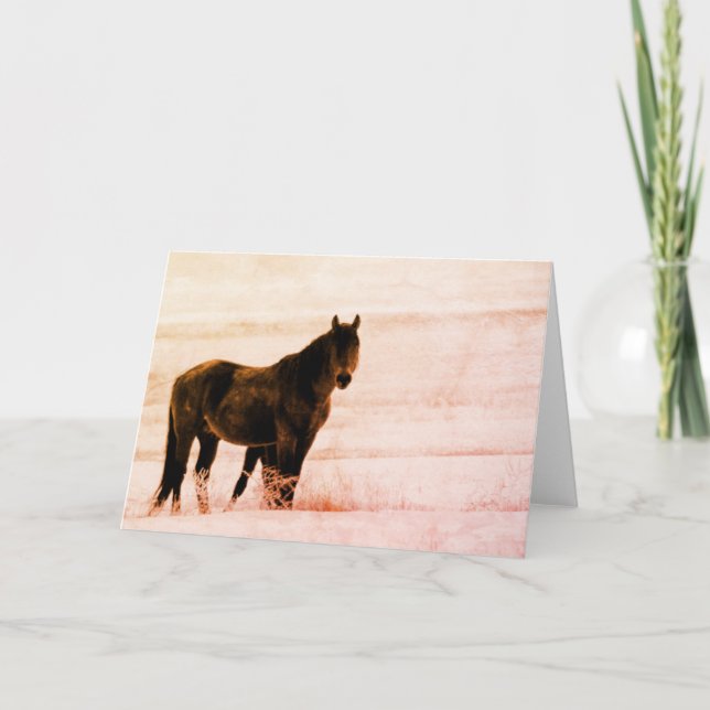 WILD HORSES OF UTAH ONAQUI HERD CARD (Front)