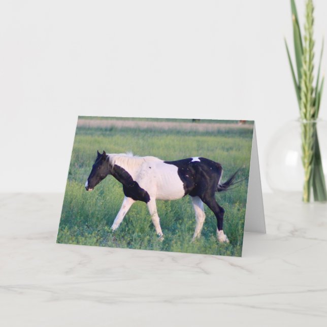 WILD HORSES OF UTAH OURAY CARD (Front)