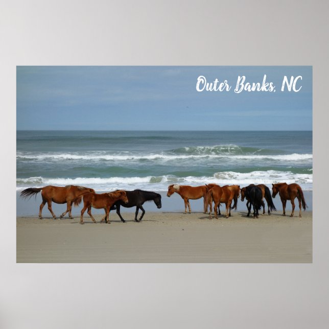 Wild Horses Outer Banks OBX Corolla NC Poster (Front)