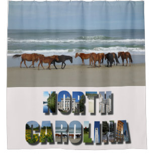 Wild Horses Outer Banks OBX North Carolina