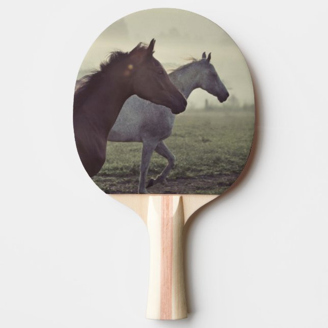 Wild horses ping pong paddle (Front)
