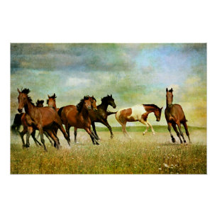 Wild Horses Poster