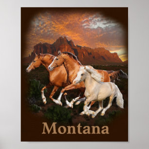 Wild Horses Poster