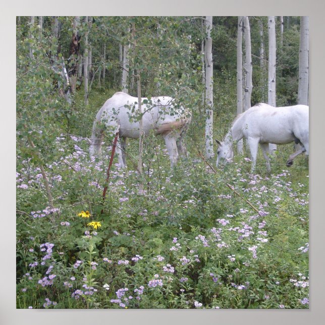 Wild Horses Poster (Front)