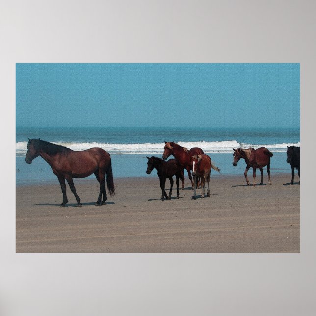 Wild Horses Poster (Front)
