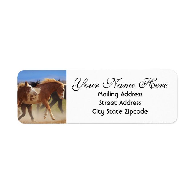 Wild Horses Return Address (Front)