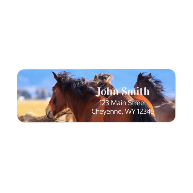 Wild Horses Return Address (Front)