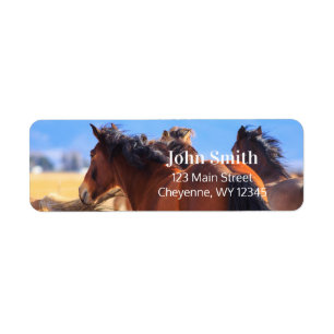 Wild Horses Return Adresse