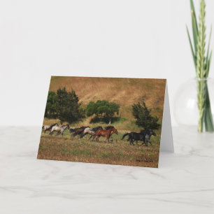 Wild Horses Running Card