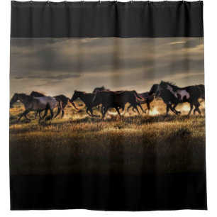 Wild Horses Running Free