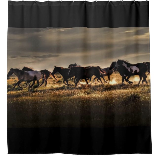 Wild Horses Running Free (Front)