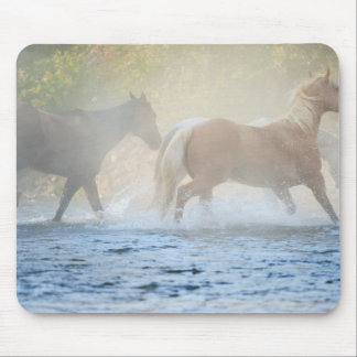 Wild horses running through water mouse pad