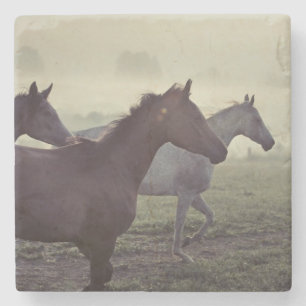 Wild horses stone coaster