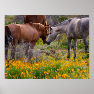 Wild Horses Wall Art Poster Print