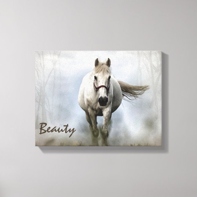 Wild Horses Western Art White Horse Canvas Print (Front)