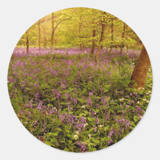 Wild hyacinth "scilla non-scripta" classic round sticker