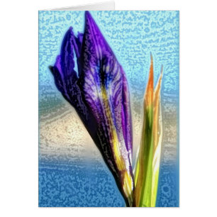 Wild Iris
