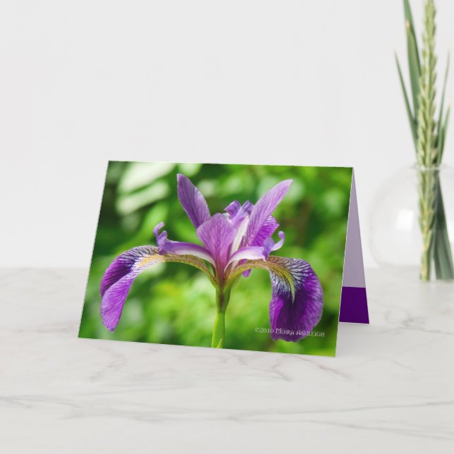 Wild Iris Bloom Card (Front)