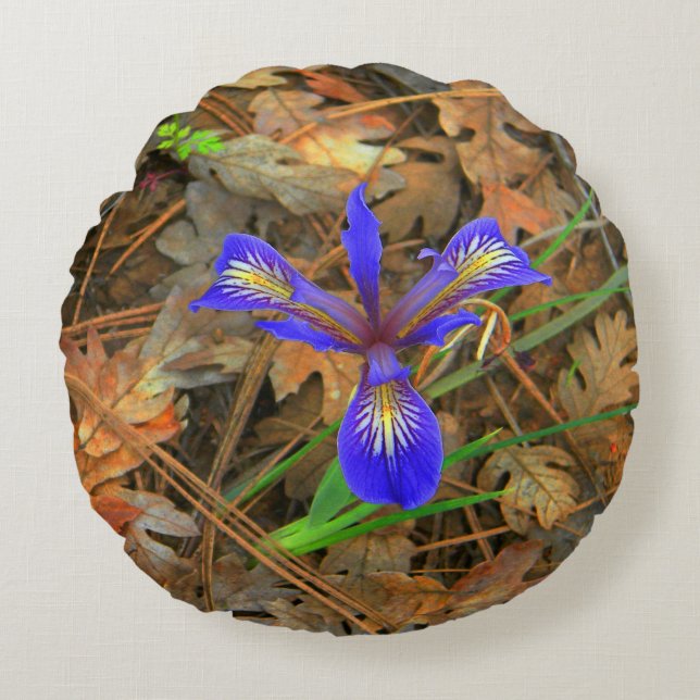 Wild Iris bloom..... Round Pillow (Front)