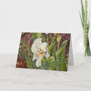 Wild Iris Flower Art Card