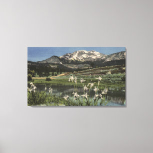 Wild Iris Growing Near Mt. Mammoth Canvas Print