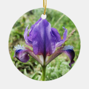 Wild Iris Ornament